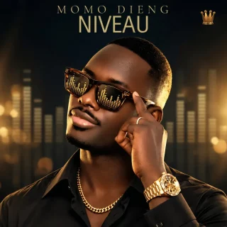 NIVEAU